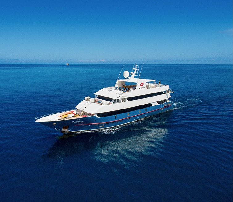 what time on 23rd February dies the cruise leave?