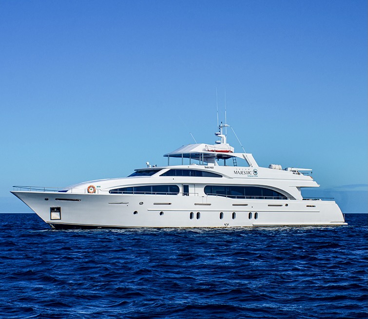 Does the Grand Majestic Galapagos Yacht Offer Single Cabin Options for Solo Travelers?