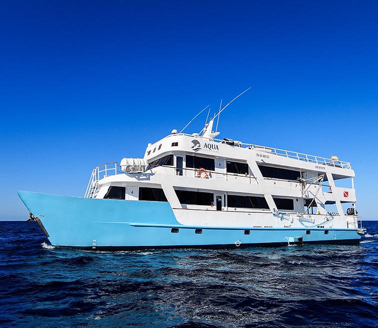 IS THERE A LIVE ABOARD THAT OFFERS SOME DIVING AND MOSTLY NATURIST TOURS IN GALAPAGOS? FOR 10 DAYS ABOUT IN JAN-FEB