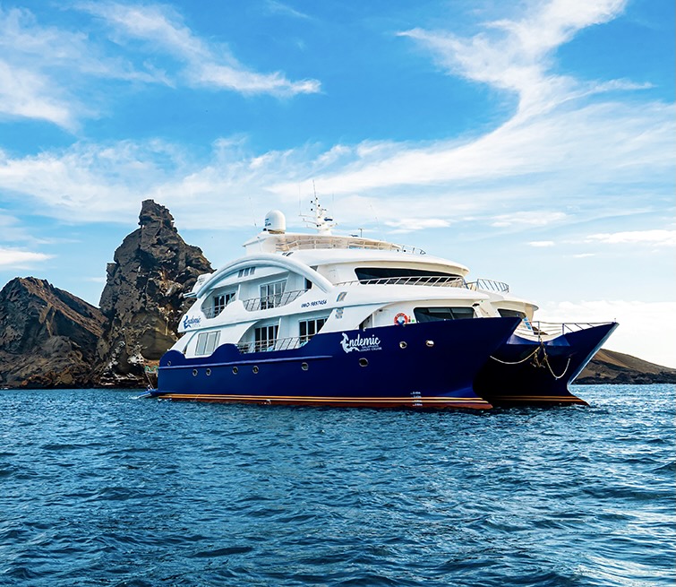 What Makes Galapagos Endemic Cruise Stand Out Among the Best Galapagos Tours?