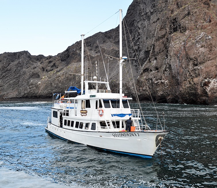 What level of service does the Galapagos Golondrina yacht provide?