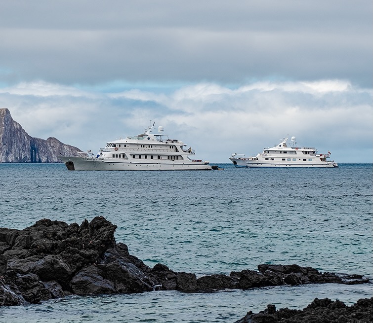 Are toiletries such as soap and shampoo provided on the Corals I & II boats?