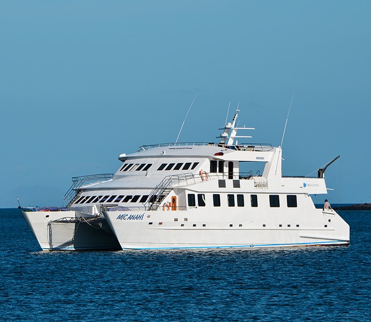 Does the Anahi provide a more stable and smooth sailing experience?