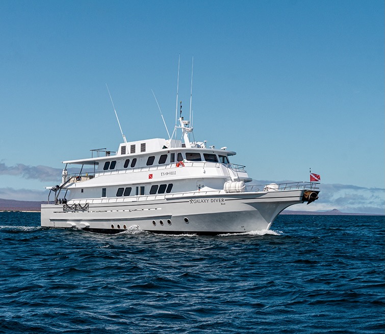 What is the frequency of snorkeling opportunities available on the Galaxy Diver itinerary in the Galapagos Islands?