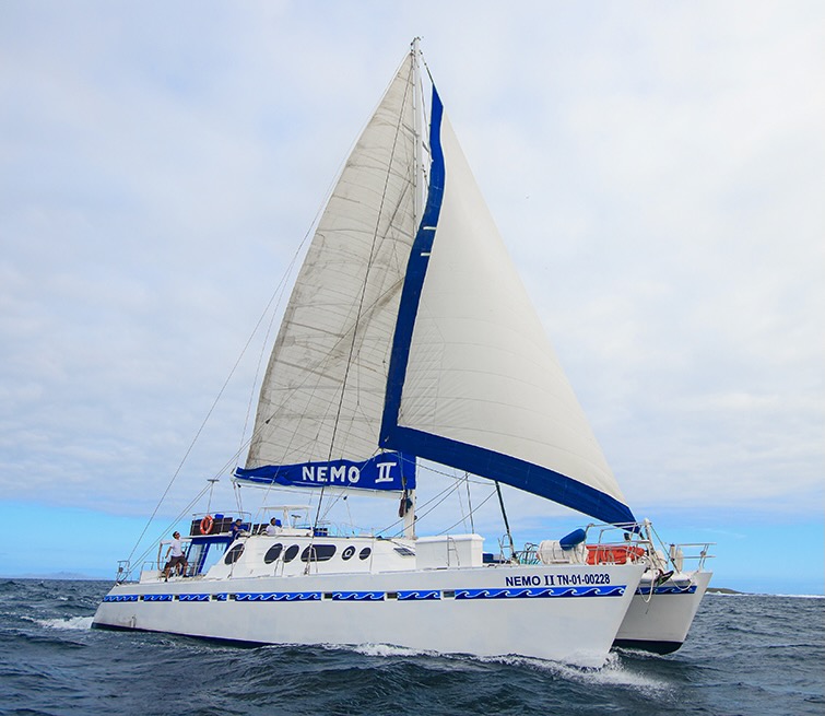 What is the itinerary for the 4 night cruise?