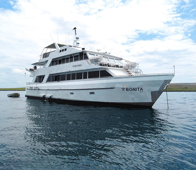 Which deck on the Bonita cruise ship features cabins with windows?