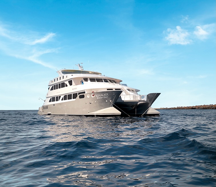 Interconnecting Cabins: Are They Available on the EcoGalaxy Galapagos Cruise?